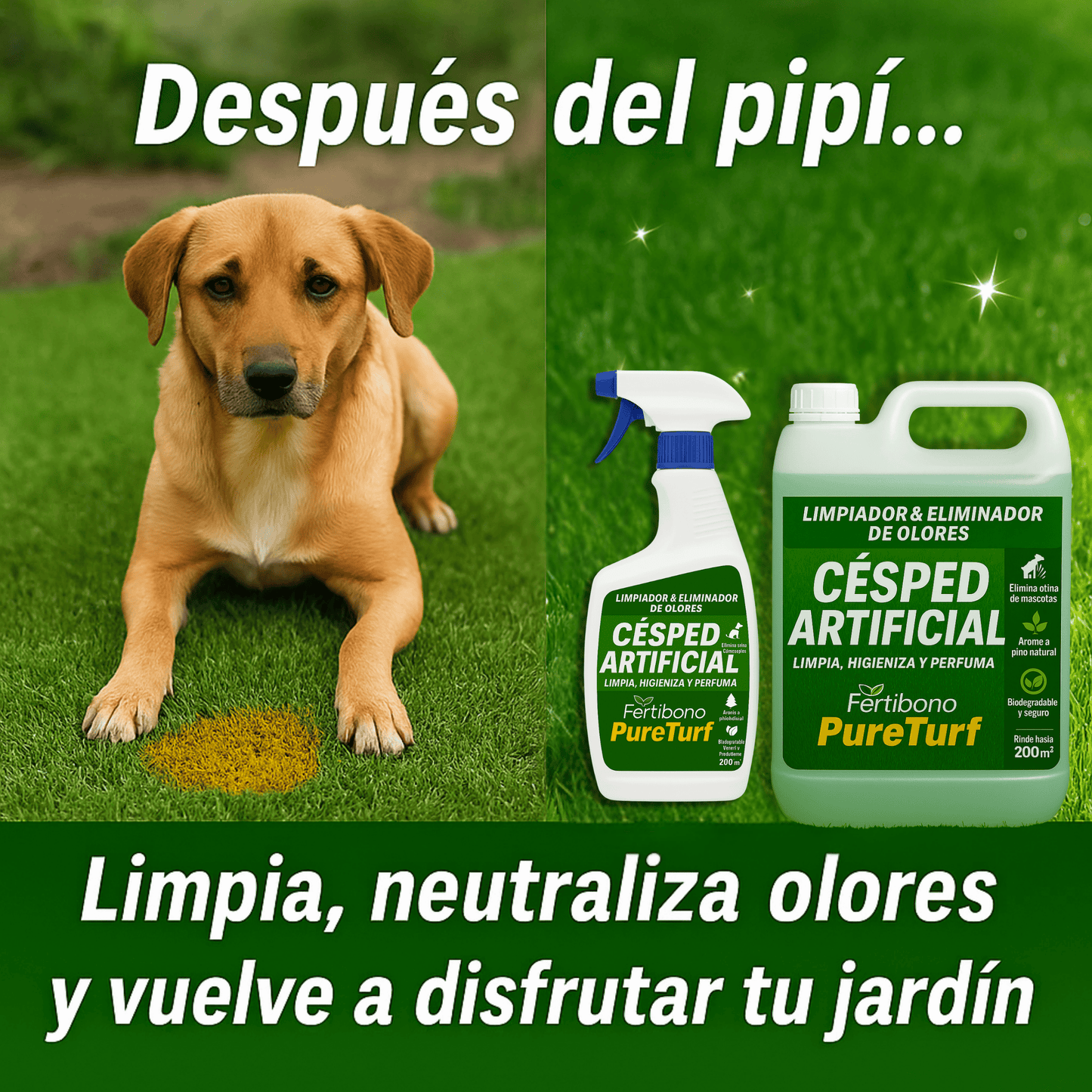 Nettoyant pour gazon artificiel PureTurf 5L – Désinfectant parfum pin pour usage intérieur et extérieur | Neutralise les odeurs d'animaux et garde votre jardin toujours frais
