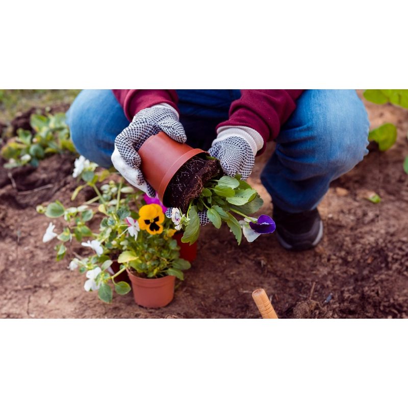 Substrat, 5L pour plantes vertes avec engrais Biovita et jardin – vue détaillée 9