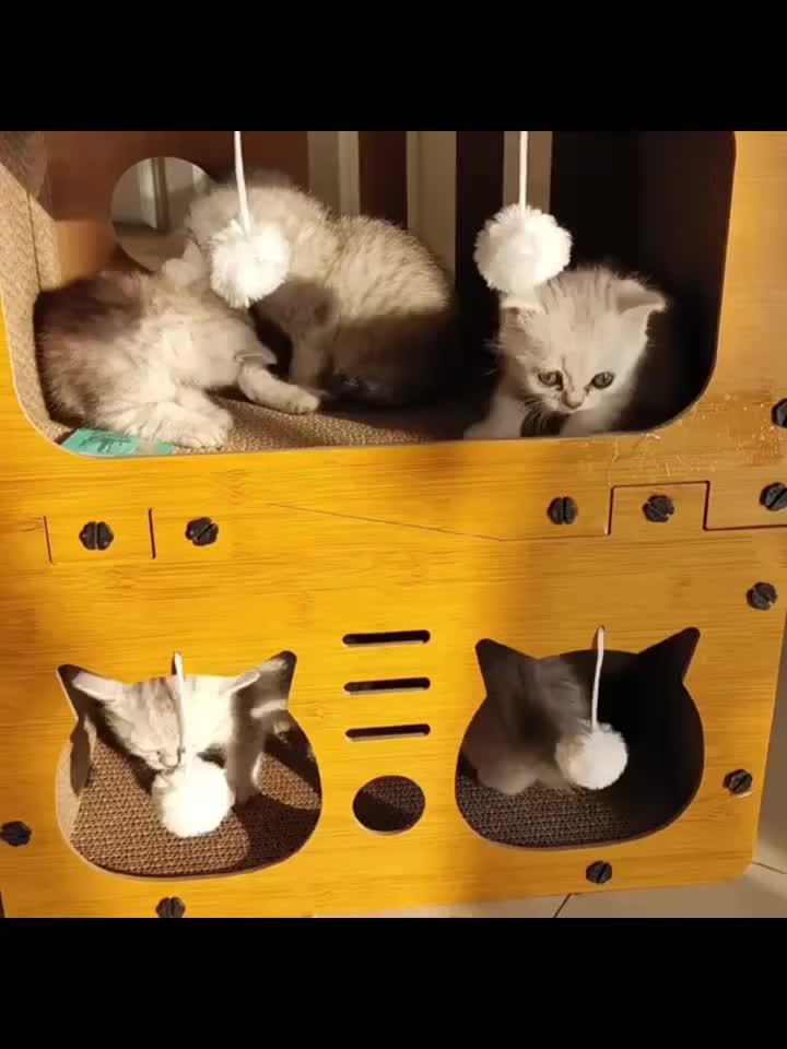 Grande maison pour chat avec poteaux à griffer, panier de transport et griffoir 3-en-1 en carton pour aiguiser les griffes, se cacher et se reposer, pompon intégré pour jouer, construction durable et robuste & facile à assembler, supporte jusqu'à 11 kg, c