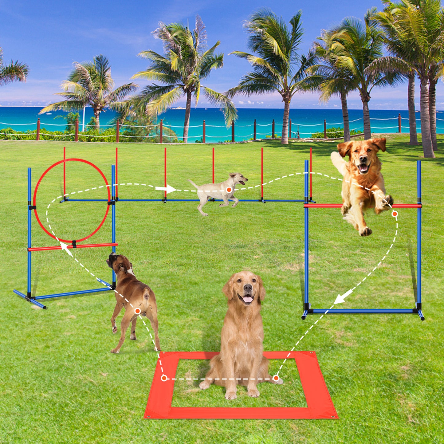 Ensemble d'équipement d'entraînement à l'agilité pour chien VEVOR 4 pièces avec obstacles, anneaux de saut et boîte de pause