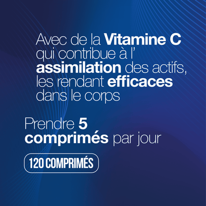 Collagène Hydrolysé 2000 MG (240 cp) – Beauté & Articulations. Biotine, Acide Hyaluronique, Zinc, Vit. C. Qualité Italienne.