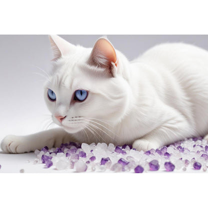 JOUET CHAT LAVANDE EN SILICONE, Hypoallergénique, Délicat, Ingrédients Naturels, Idéal pour les Chats Sensibles, Mersjo 3.8L