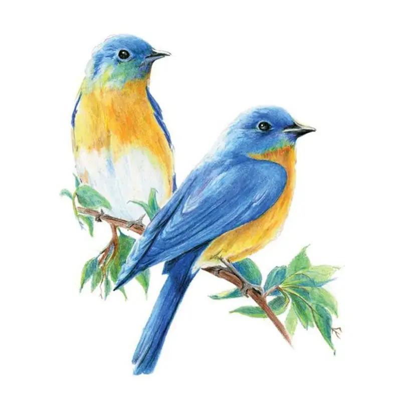 Ensemble de crayons de couleur 48/72, plein de couleurs vibrantes pour les enseignants, crayons de dessin d'art à mine souple pour le coloriage pour adultes, l'esquisse et la peinture, cadeaux de livres pour adultes