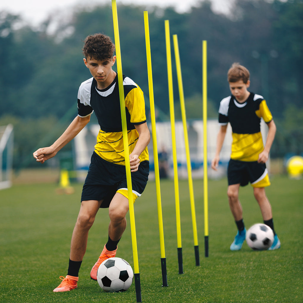 Ensemble de 6 poteaux d'entraînement pour football et agility pour chiens - 1.5M/1.8M, comprend des piquets de sol et un sac de transport, conçu pour les exercices de coordination et d'agilité