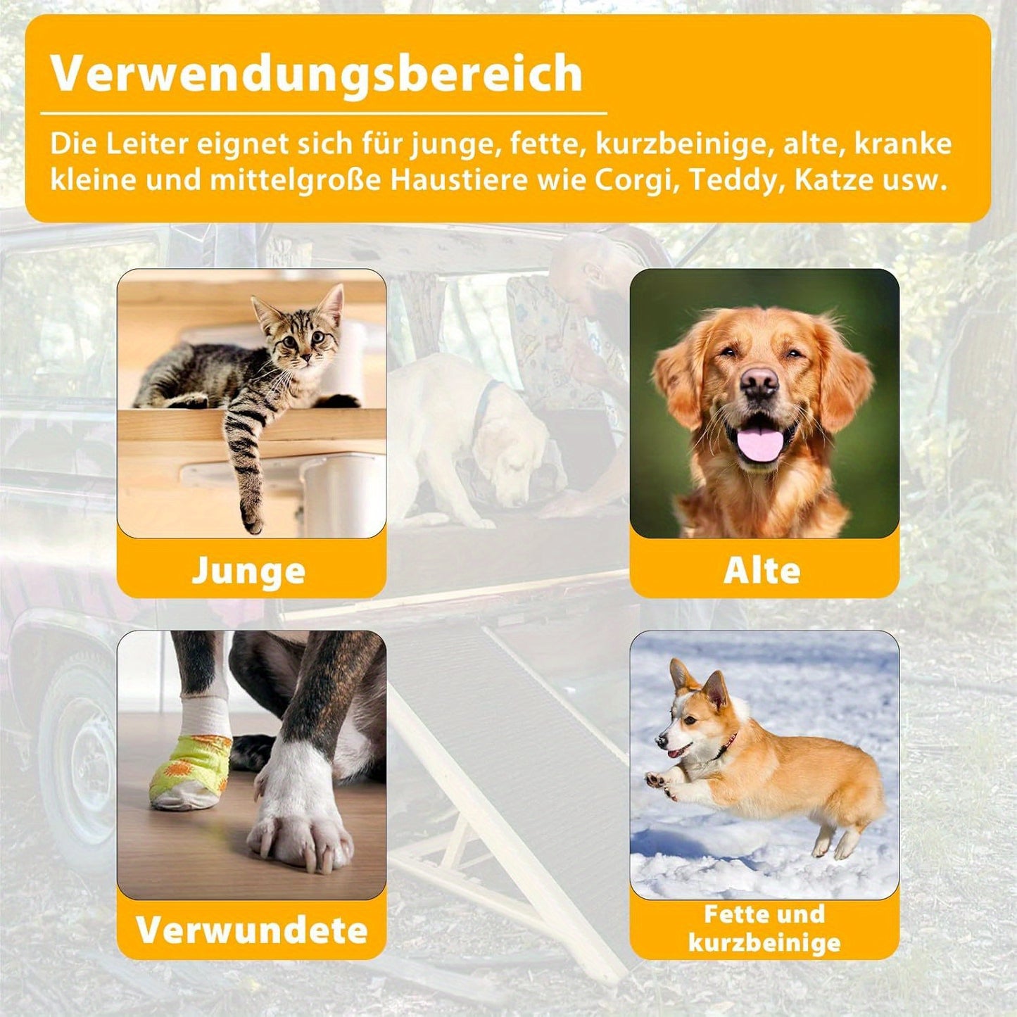 Rampe pour chien 60 cm, rampe pour chat, rampe pliante, rampe pour animaux de compagnie à hauteur réglable, escaliers réglables pour chiens de petite taille et chats, antidérapante, capacité de charge jusqu'à 100 kg
