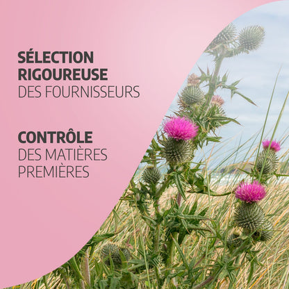 Chardon-Marie Biologique | 900 mg/jour | Silybum marianum | Certifié Ecocert | 200 Gélules