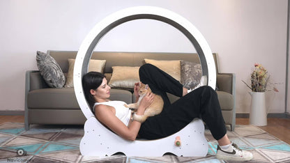 Grande Roue d'Exercice pour Chats et Chiens, Taille XL – Roue de Course en Bois pour Intérieur, Sûre et Confortable, Prévention de l'Obésité chez les Chats, Cadeau de Noël Parfait