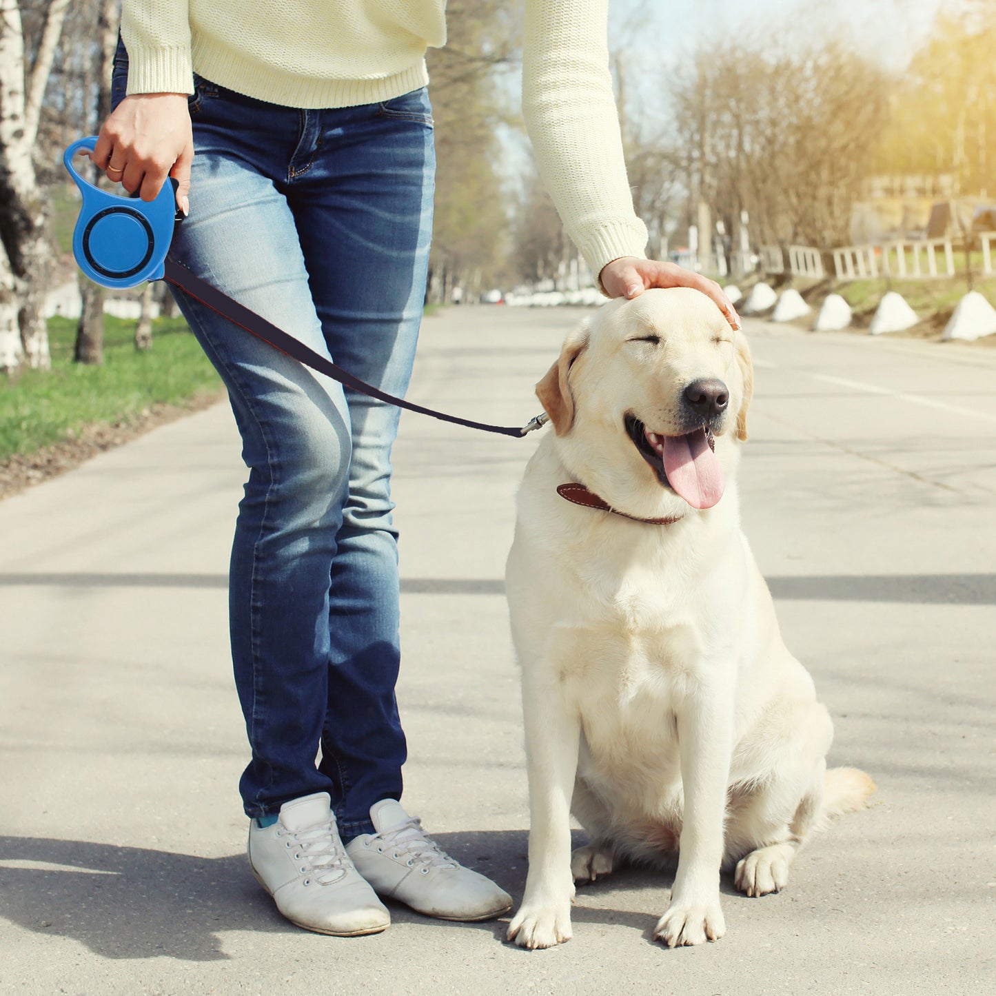 Laisse Automatique RETOO PetCare pour Chiens et Chats, avec Verrouillage, Bande Rétractable Flexi 5m, Mécanisme de Verrouillage, Idéale pour Petits Chiens Jusqu'à 15 kg, Poignée Confortable, Bande Durable avec Frein, Laisse avec Clip Robuste, Marche Confo