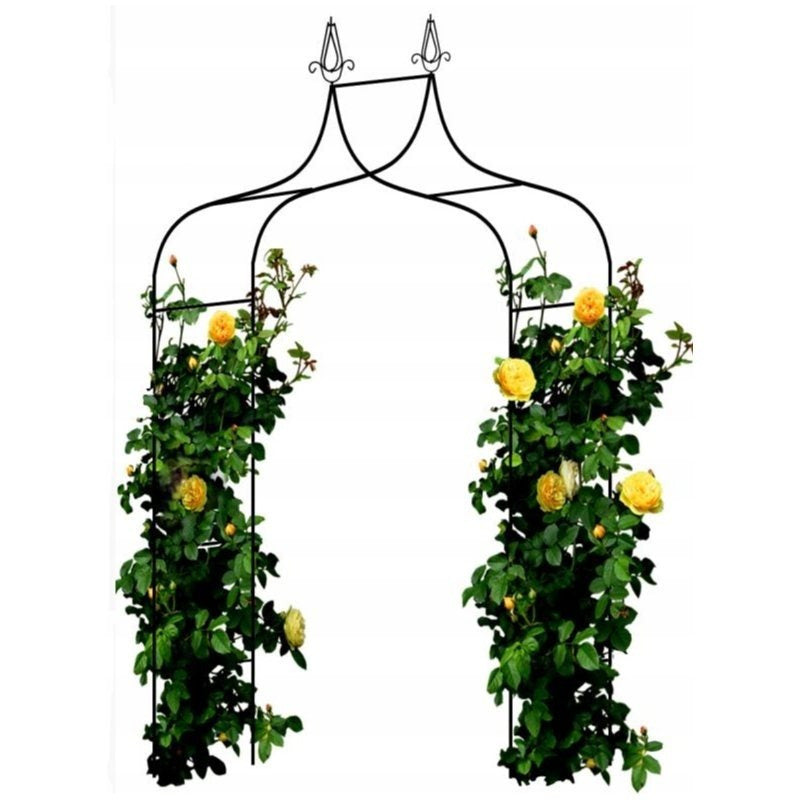 PERG-N3214 PERGOLA DE JARDIN EN MÉTAL POUR ROSAIS ET FLEURS GRIMPANTES