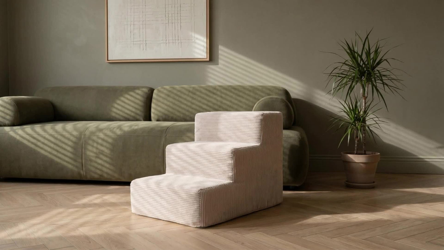 Escalier pour chiens et chats – 3 marches, velours côtelé doux, dessous antidérapant, housse amovible, rampe, plateforme