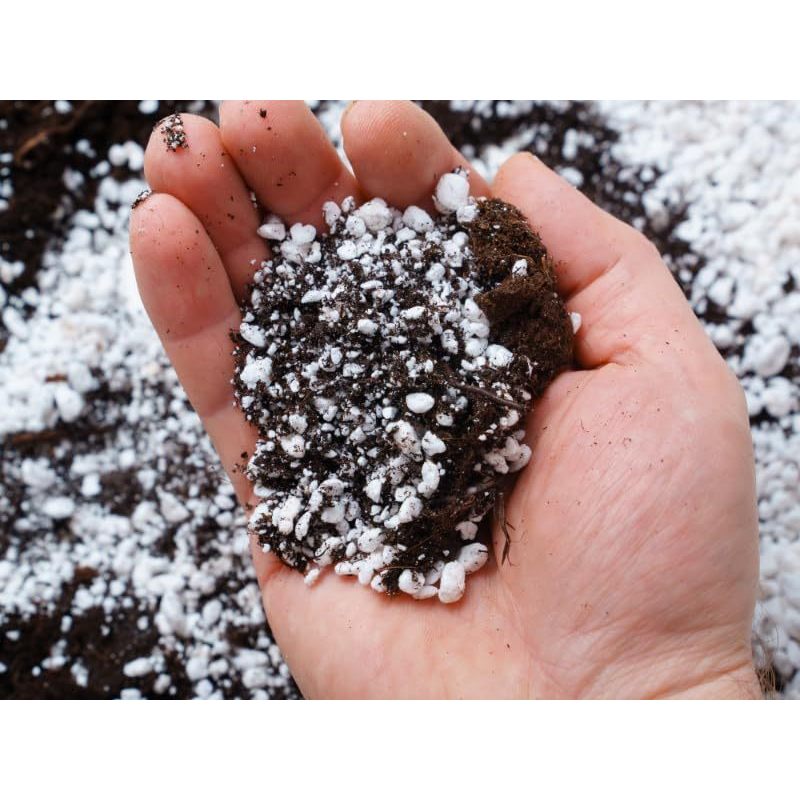 BIOVITA Perlite 10L - Perlite pour Plantes pour Amélioration du Substrat du Sol - 3-6Mm - Amélioration du Sol - Substrat de Stockage d'Humidité - Idéal pour Jardin et Plantes d'Intérieur