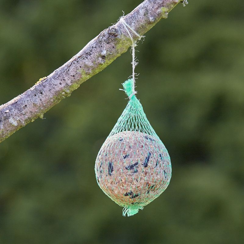 Boule de Graisse pour Oiseaux Sauvages, Nourriture Hivernale pour Oiseaux, Mélange de Graines et Céréales, 1 Pièce, 90g