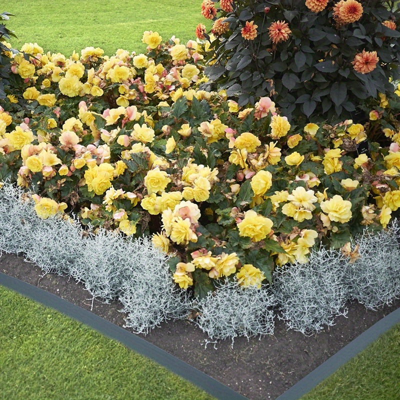 Ruban de Bordure de Pelouse en Plastique Flexible - Rouleau de 20m pour Allées de Jardin, Lits de Gravier & Coupe de Gazon - Matériau PP Durable en Anthracite, Gris et Vert - Solution d'Aménagement Facile à Installer, Bordures de Jardin Flexibles | Access