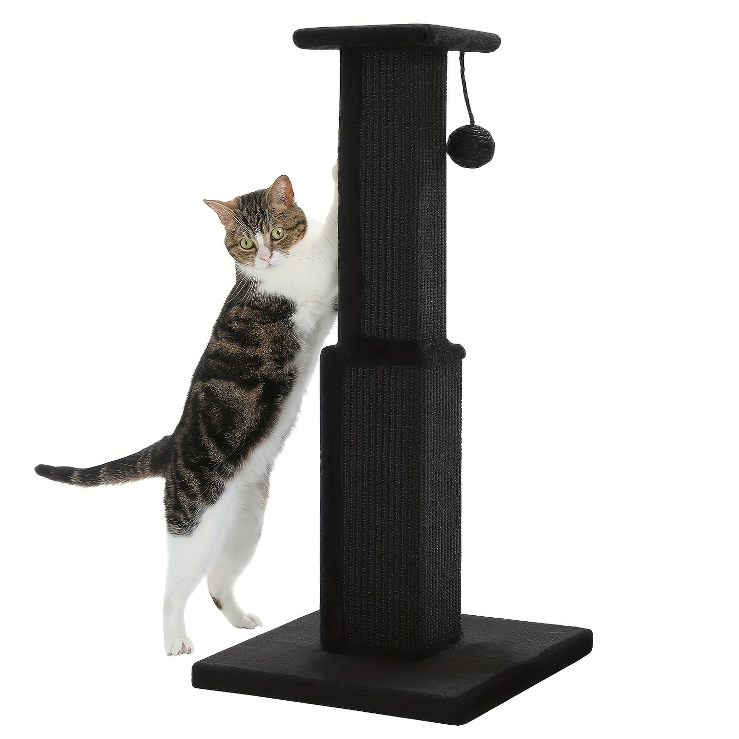 Griffoir pour chat PAWZ Road Large, 80 cm de haut, pour chats adultes d'intérieur, griffoir ultime avec sisal tissé, grande base et balle suspendue amovible