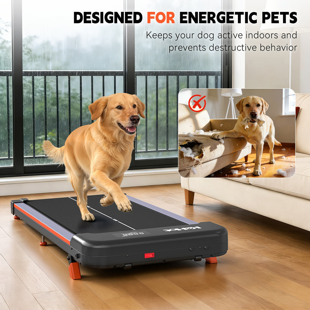 Tapis de marche pour la maison avec affichage multifonction, 12 programmes prédéfinis, moteur DC silencieux, 220-240V, idéal pour la fitness en intérieur