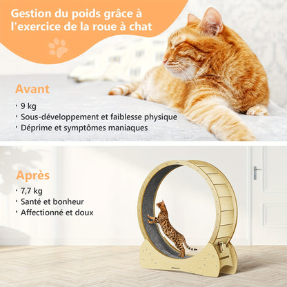 Roue d'exercice pour chat Rennkatzen, Roue de course pour chats et chiens XL, Roue d'intérieur de haute qualité pour chat, Bois naturel, Sûre et confortable, Grande roue pour chat pour usage intérieur