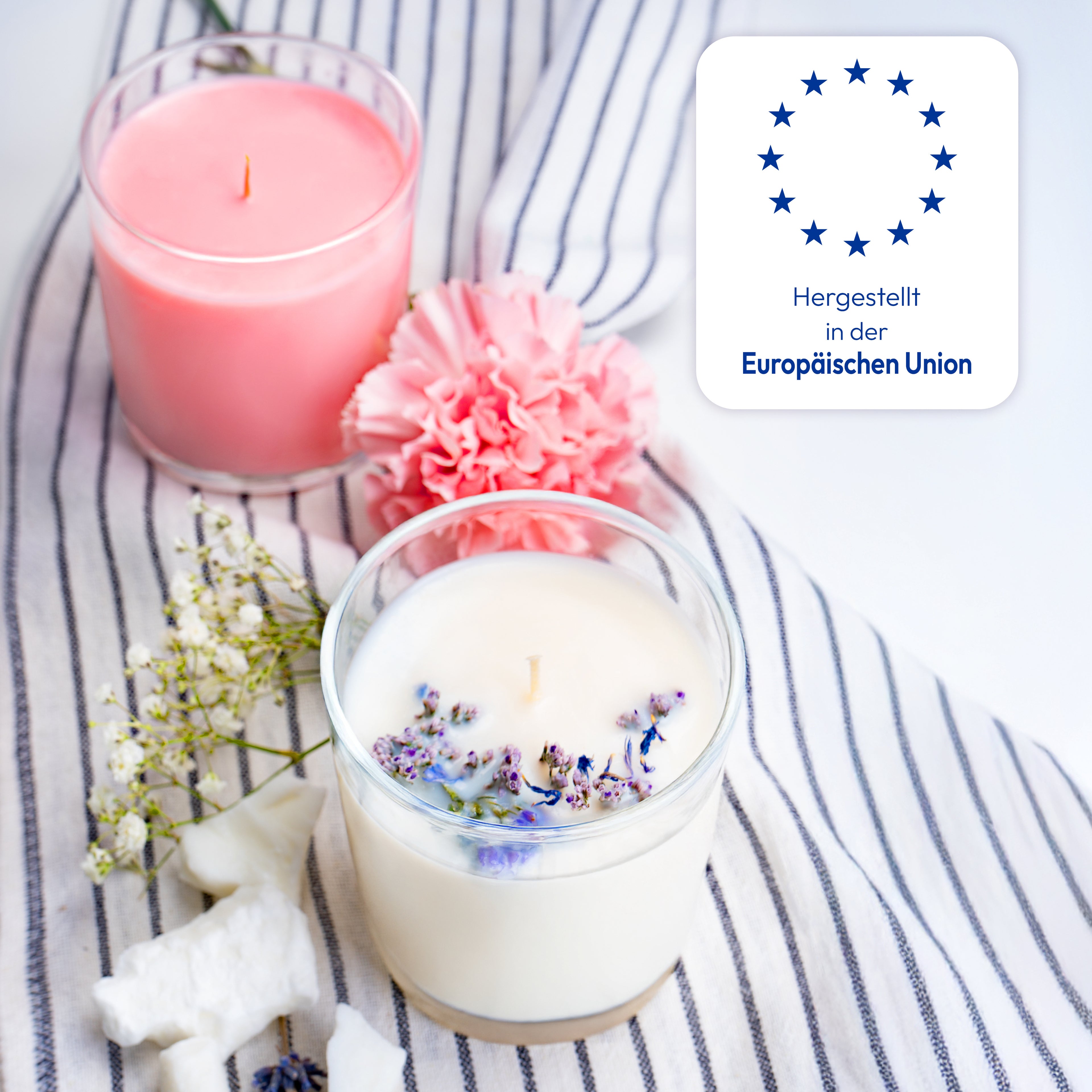 Verres à Bougie 300 ml - Fabriqués en Europe, Verres Décoratifs à Ventilateur 9X8 Cm, Robustes & Réutilisables, Idéaux pour le DIY, Bougies Parfumées & Décoration de Table, Disponibles en Ensembles de 6 ou 12.