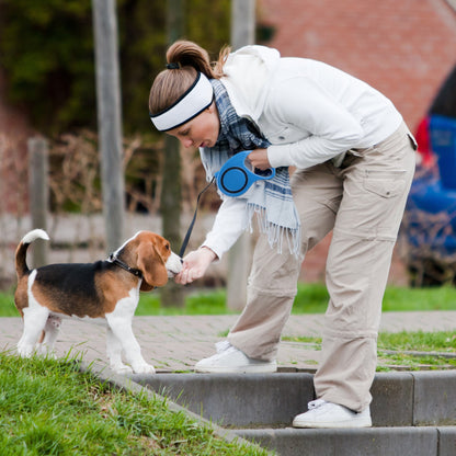 Laisse Automatique RETOO PetCare pour Chiens et Chats, avec Verrouillage, Bande Rétractable Flexi 5m, Mécanisme de Verrouillage, Idéale pour Petits Chiens Jusqu'à 15 kg, Poignée Confortable, Bande Durable avec Frein, Laisse avec Clip Robuste, Marche Confo