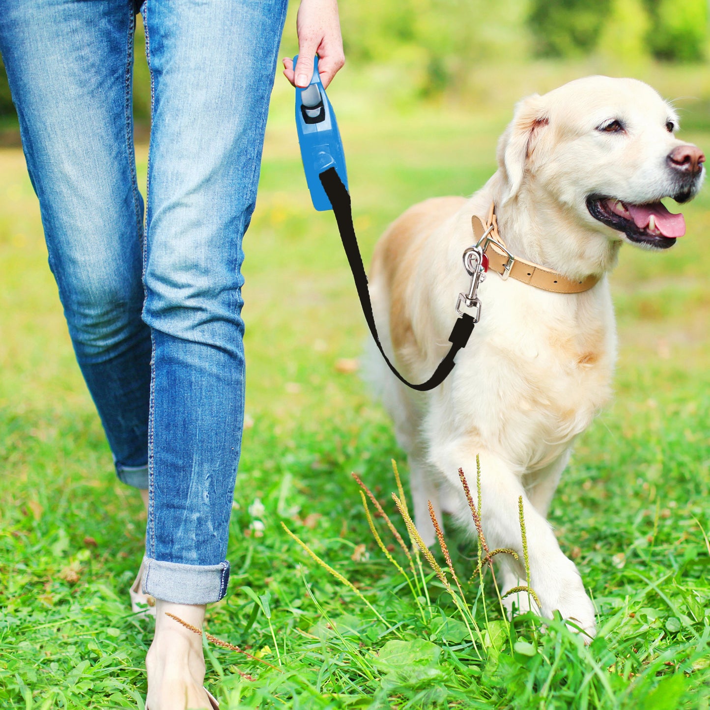 Laisse Automatique RETOO PetCare pour Chiens et Chats, avec Verrouillage, Bande Rétractable Flexi 5m, Mécanisme de Verrouillage, Idéale pour Petits Chiens Jusqu'à 15 kg, Poignée Confortable, Bande Durable avec Frein, Laisse avec Clip Robuste, Marche Confo