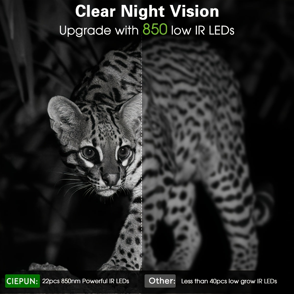 Caméra de chasse 4K 64MP avec vision nocturne à faible lumière, écran 5.08 cm pour la surveillance de la faune en extérieur