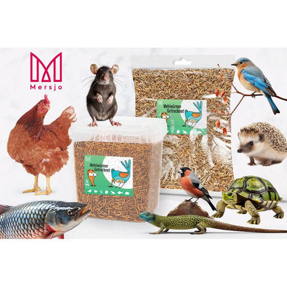 Larves de ver de farine séchées, aliment pour carpes koï, rongeurs, hérissons, oiseaux, reptiles, poissons, Mersjo 6,5 L 1 kg et 3 L 460 g
