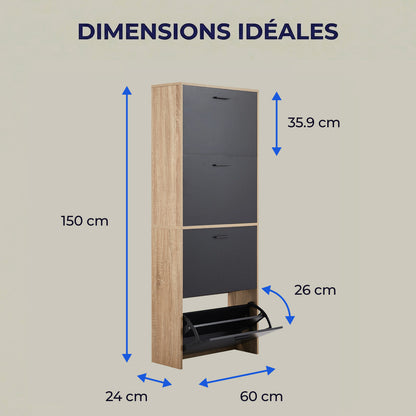 Meuble à chaussures avec 4 compartiments à rabat, armoire à chaussures en bois pour jusqu'à 24 paires, organisateur d'entrée peu encombrant