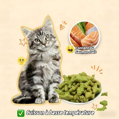 Biscuits à l'herbe à chat, Snacks pour chat, Prêts à manger, Aident à l'excrétion. Régulent l'hygiène du tube digestif, Nettoient la cavité buccale, Augmentent l'exercice, Restaurent la vitalité, Libèrent l'instinct