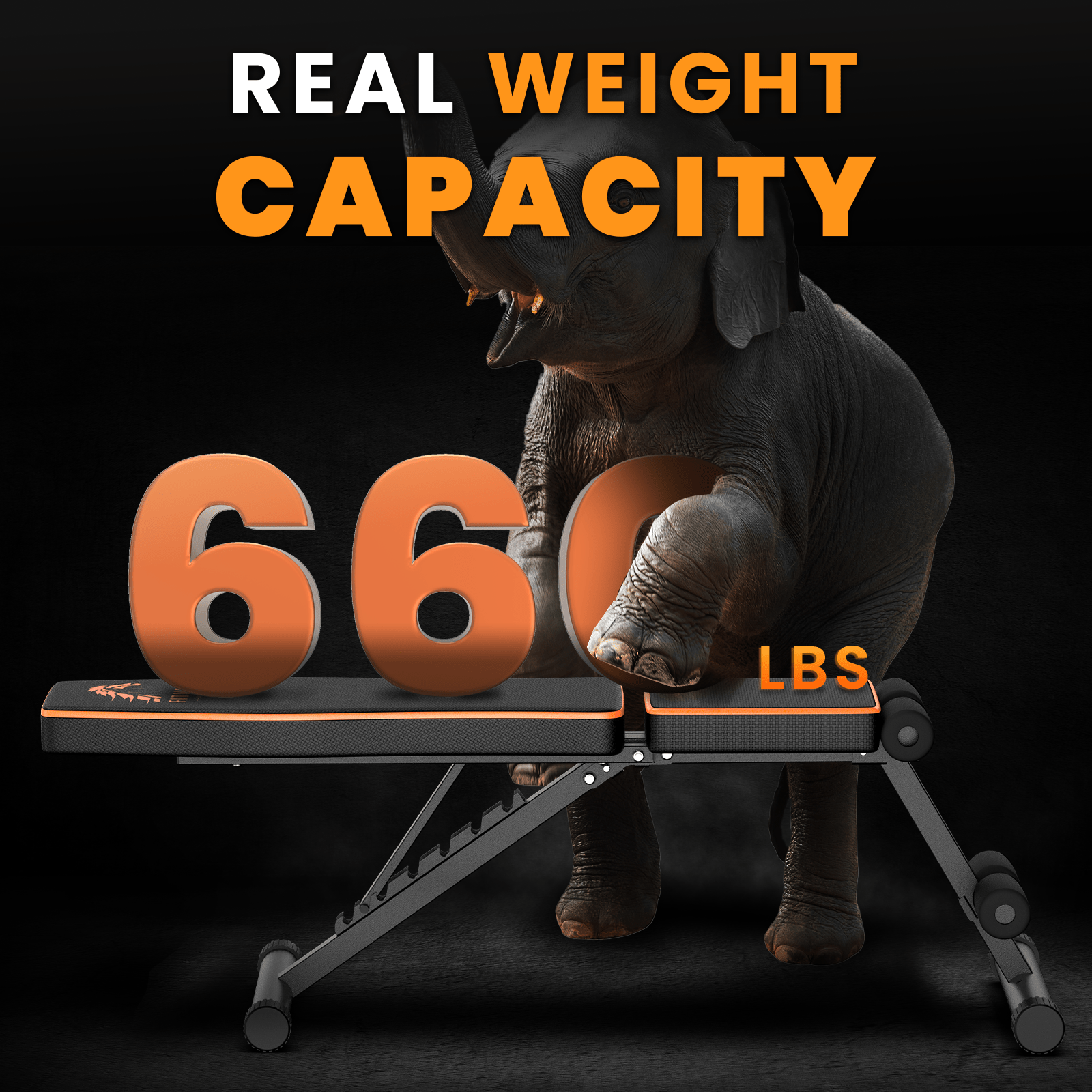 GartistGo Banc de musculation pliable et ajustable, 300KG/660LB Banc de musculation pliable et rapide pour la maison, l'entraînement, la salle de sport
