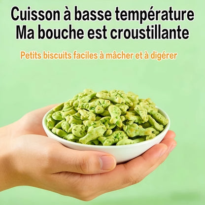 Biscuits à l'herbe à chat, Snacks pour chat, Prêts à manger, Aident à l'excrétion. Régulent l'hygiène du tube digestif, Nettoient la cavité buccale, Augmentent l'exercice, Restaurent la vitalité, Libèrent l'instinct