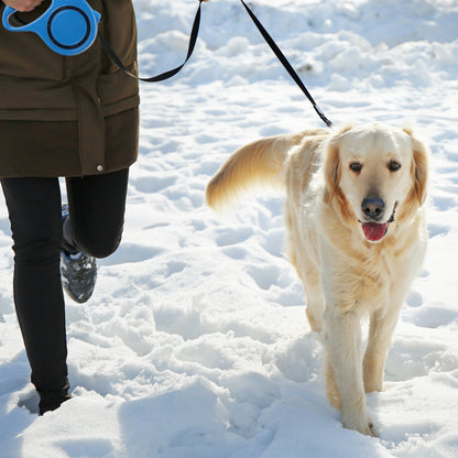 Laisse Automatique RETOO PetCare pour Chiens et Chats, avec Verrouillage, Bande Rétractable Flexi 5m, Mécanisme de Verrouillage, Idéale pour Petits Chiens Jusqu'à 15 kg, Poignée Confortable, Bande Durable avec Frein, Laisse avec Clip Robuste, Marche Confo