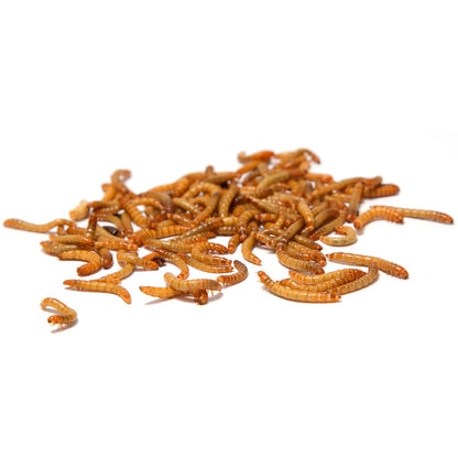 Larves de ver de farine séchées, aliment pour carpes koï, rongeurs, hérissons, oiseaux, reptiles, poissons, Mersjo 6,5 L 1 kg et 3 L 460 g