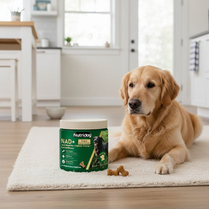 Complément NAD pour Chiens Âgés - Complément Articulaire 3-en-1 pour Chiens, Soins de la Peau & du Pelage en Comprimés à Mâcher avec Glucosamine, NMN, Omega-3 - Saveur Bacon, 90 Comprimés