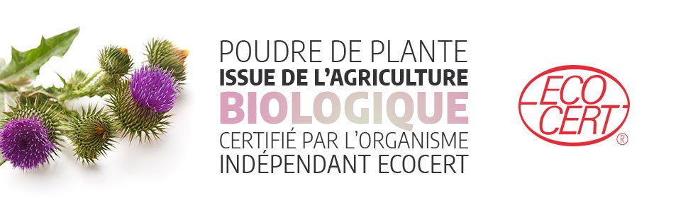 Chardon-Marie Biologique | 900 mg/jour | Silybum marianum | Certifié Ecocert | 200 Gélules