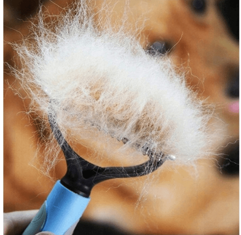 Le peigne enlève les poils morts du sous-pelage du chien.