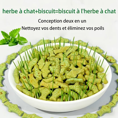 Biscuits à l'herbe à chat, Snacks pour chat, Prêts à manger, Aident à l'excrétion. Régulent l'hygiène du tube digestif, Nettoient la cavité buccale, Augmentent l'exercice, Restaurent la vitalité, Libèrent l'instinct