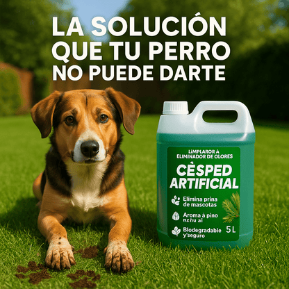 Nettoyant pour gazon artificiel PureTurf 5L – Désinfectant parfum pin pour usage intérieur et extérieur | Neutralise les odeurs d'animaux et garde votre jardin toujours frais