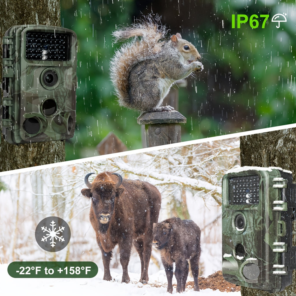 Caméra de chasse 4K 64MP avec vision nocturne à faible lumière, écran 5.08 cm pour la surveillance de la faune en extérieur
