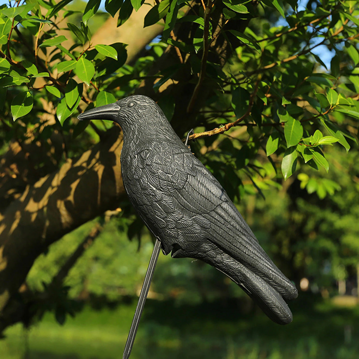 Leurre de Corbeau Réaliste, Corneille 3D, Dissuasion pour Oiseaux pour Jardin et Balcon, Figurine en Plastique Résistant aux Intempéries, Efficace Contre les Pigeons, les Étourneaux et Autres Oiseaux, Statue de Jardin Extérieur, Décoration pour Patio, Ter