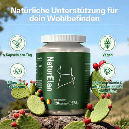 Gélules d'Extrait de Figuier de Barbarie, 120 Gélules – Soutien Naturel pour une Planification Alimentaire Consciente et Soucieuse des Calories