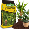 Substrat 5L Land of Palms Dracaena pour plantes vertes avec engrais Biovita
