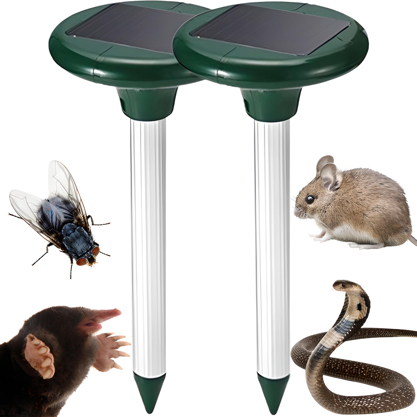 Lot de 2 Répulsifs Solaires Puissants pour Taupes, Campagnols et Rongeurs, Dissuasif Fort pour Petits Mammifères avec Émission de Son et de Vibrations, Fonctionnement Cyclique toutes les 40 Secondes, Portée jusqu'à 30 Mètres, Signal Acoustique Variable, F