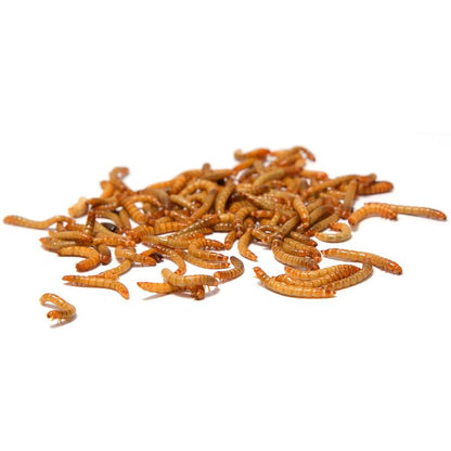 Larves de ver de farine séchées, aliment pour carpes koï, rongeurs, hérissons, oiseaux, reptiles, poissons, Mersjo 6,5 L 1 kg et 3 L 460 g