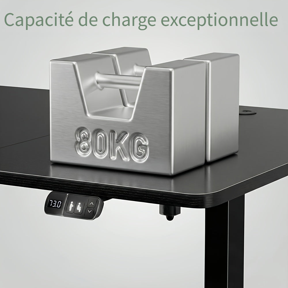 Furnishia Bureau Vertical Électrique avec Panneau Intelligent à Mémoire et 2 Tiroirs, Bureau à Hauteur Réglable avec Prises de Courant, pour Bureau d'Ordinateur à Domicile, Poste de Travail d'Écriture et Chambre à Coucher