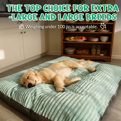 1 tapis rayé pour animaux de compagnie, un lit durable pour chien adapté à toutes les tailles avec une housse amovible et lavable, conception rectangulaire pour chiens moyens à grands, chiots et chats, meubles d'intérieur parfaits pour le salon, salon con