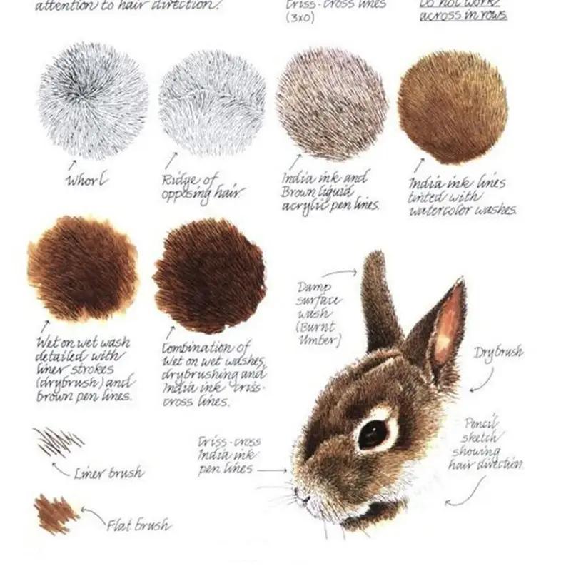 Ensemble de crayons de couleur 48/72, plein de couleurs vibrantes pour les enseignants, crayons de dessin d'art à mine souple pour le coloriage pour adultes, l'esquisse et la peinture, cadeaux de livres pour adultes
