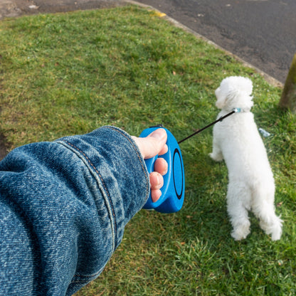 Laisse Automatique RETOO PetCare pour Chiens et Chats, avec Verrouillage, Bande Rétractable Flexi 5m, Mécanisme de Verrouillage, Idéale pour Petits Chiens Jusqu'à 15 kg, Poignée Confortable, Bande Durable avec Frein, Laisse avec Clip Robuste, Marche Confo
