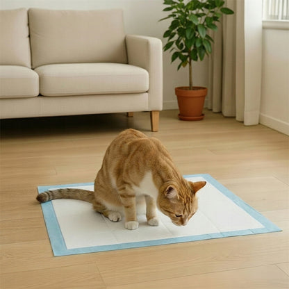 SERVETTES HYGIÉNIQUES POUR CHIENS ET CHATS POUR L'APPRENTISSAGE DE LA PROPRETÉ 45x60CM ÉPAISSES 50 PCS