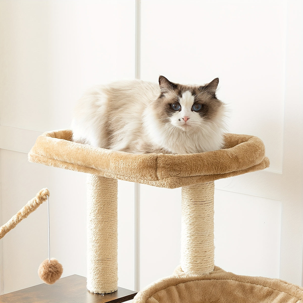 Arbre à chat, bois pour animaux et maison – vue détaillée 8