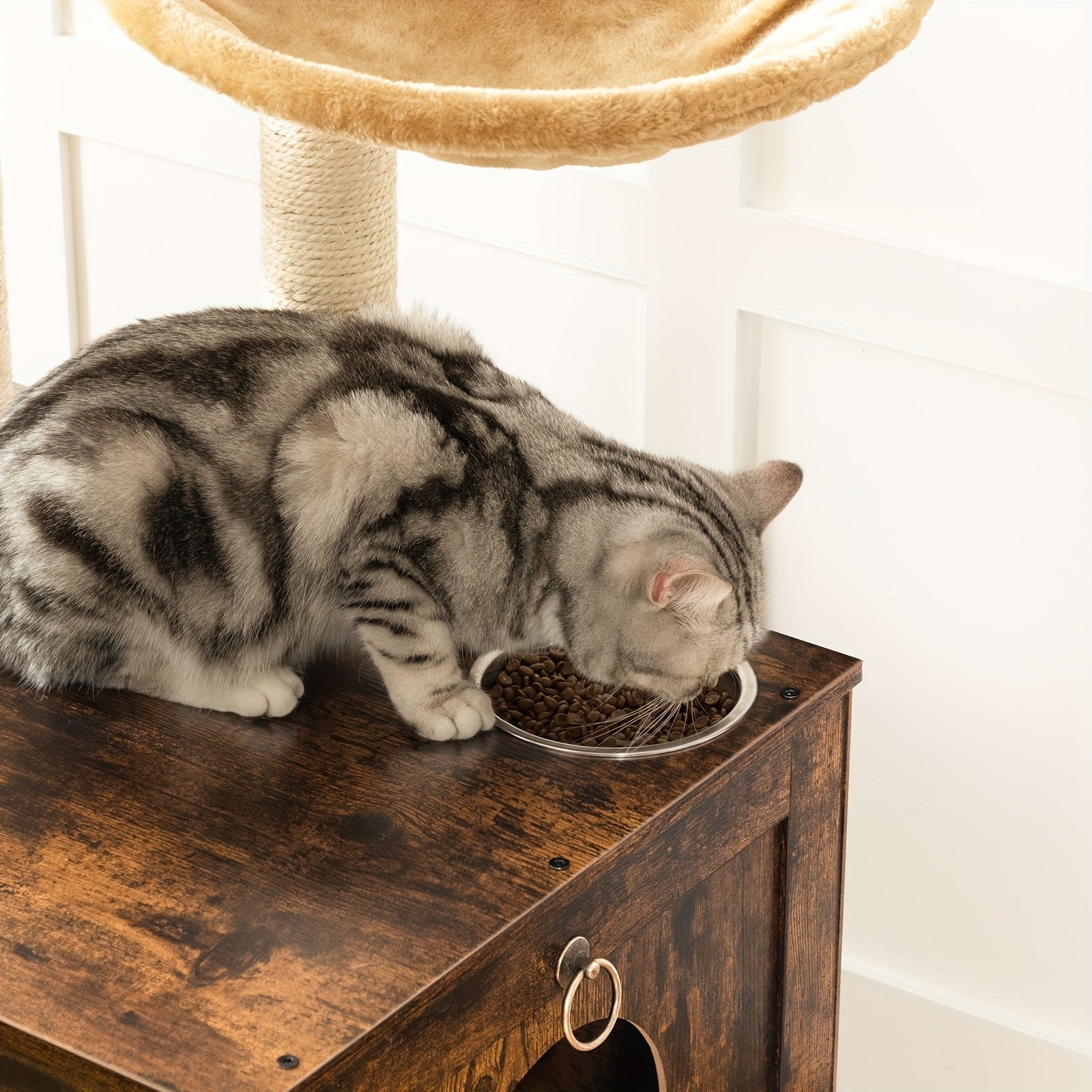 Arbre à chat, bois pour animaux et maison – vue détaillée 9