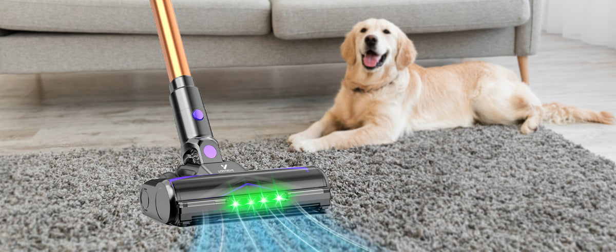 Aspirateur sans fil, 500W pour sols durs et tapis – vue détaillée 14